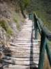Short Inca Trail (14).jpg